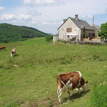 Chez Marraine Villa Sauvat Eksteriør billede