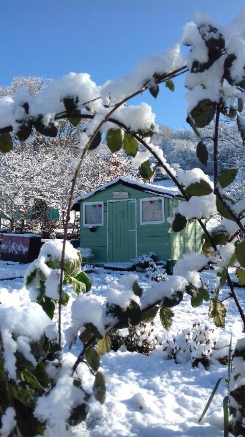 Chez Marraine Villa Sauvat Eksteriør billede